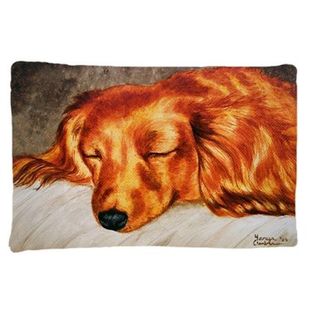 JENSENDISTRIBUTIONSERVICES Red Longhaired Dachshund Fabric Standard Pillowcase MI259479